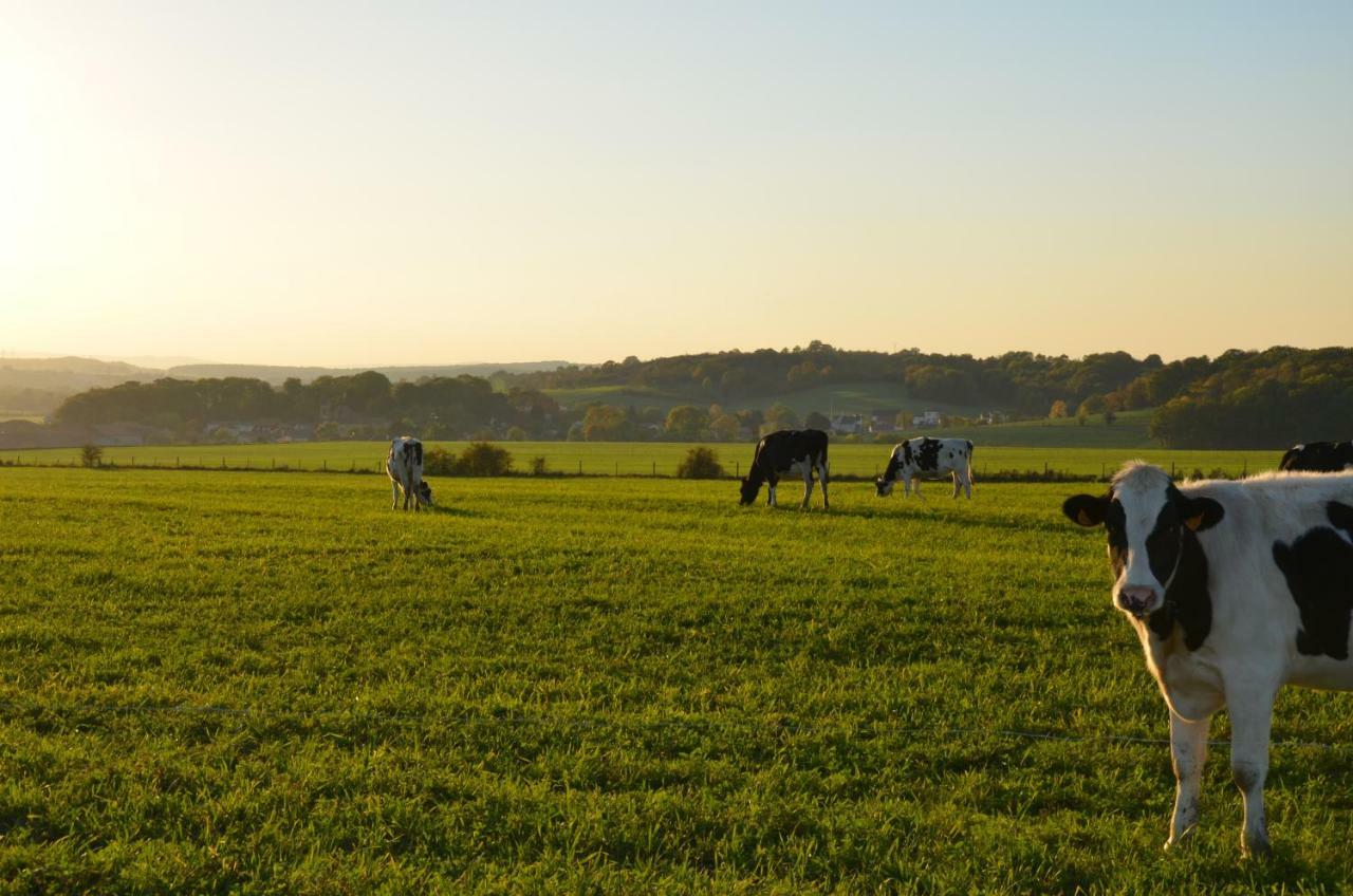 Gite Brin De Campagne Vaucremont Exterior photo